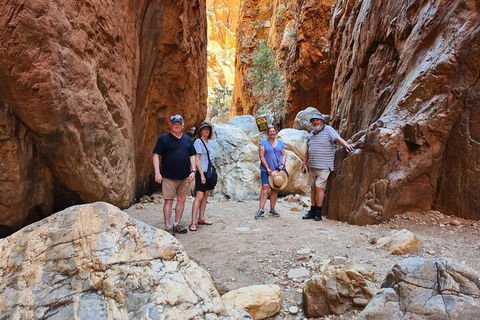 West MacDonnell Ranges Half-Day Small-Group Tour With Camel Ride - Accommodation NT 4