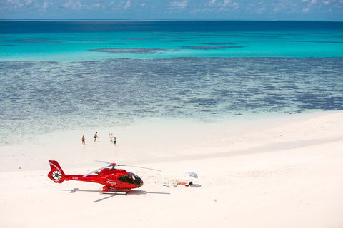 Private Helicopter Tour: Reef Island Snorkeling And Gourmet Picnic Lunch - Accommodation NT 2