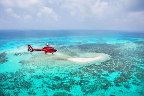 Private Helicopter Tour: Reef Island Snorkeling And Gourmet Picnic Lunch - Accommodation NT 5