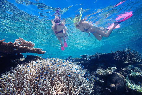 Great Barrier Reef Scenic Helicopter Tour And Cruise From Cairns - Accommodation NT 3