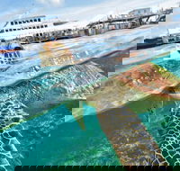Scenic Helicopter Flight to Moore Reef and Return Snorkeling Cruise from Cairns - Accommodation NT