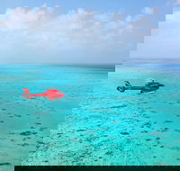 Port Douglas Scenic Flights - Accommodation NT