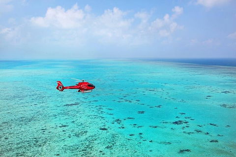 Great Barrier Reef 30-Minute Scenic Helicopter Tour From Cairns - Accommodation NT 2