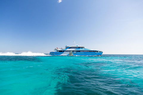 Rottnest Island All-Inclusive Grand Island Tour From Fremantle - Accommodation NT 0