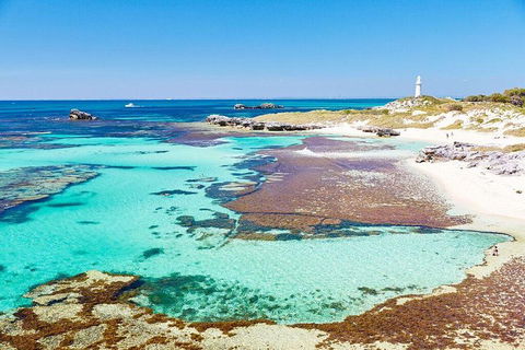 Rottnest Island All-Inclusive Grand Island Tour From Fremantle - Accommodation NT 1