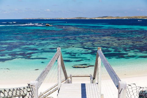 Rottnest Island All-Inclusive Grand Island Tour From Fremantle - Accommodation NT 4