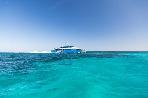 Rottnest Island Bike & Ferry Package From Fremantle - Accommodation NT 0