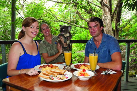 Breakfast With The Koalas At Hartley's Crocodile Park From Cairns Or Palm Cove - Accommodation NT 0