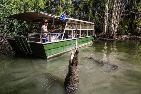 Hartley's Crocodile Adventures Day Trip From Cairns - Accommodation NT 2