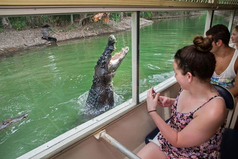 Hartley's Crocodile Adventures Day Trip From Cairns - Accommodation NT 3