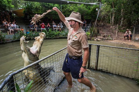 Hartley's Crocodile Adventures Day Trip From Palm Cove - Accommodation NT 4