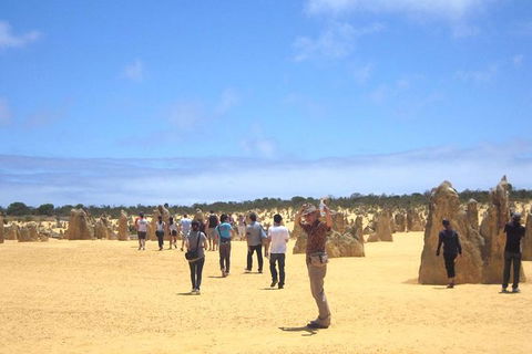 Pinnacles & Rottnest Island Scenic Air & Ground Tour - Accommodation NT 3