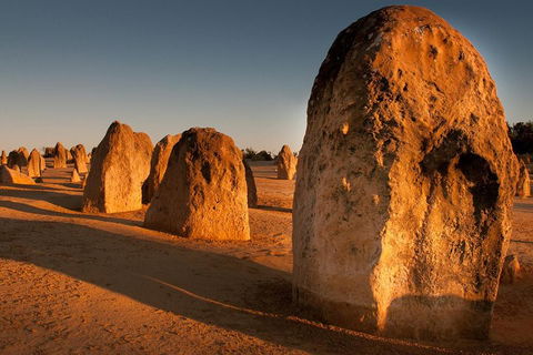 Pinnacles & Rottnest Island Scenic Air & Ground Tour - Accommodation NT 4