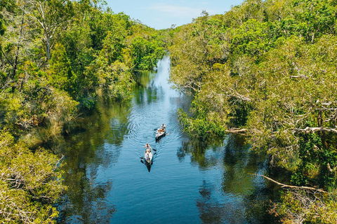 Cruise 'n' Canoe To Australia's Everglades - Accommodation NT 3