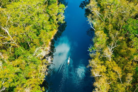 Cruise 'n' Canoe To Australia's Everglades - Accommodation NT 4