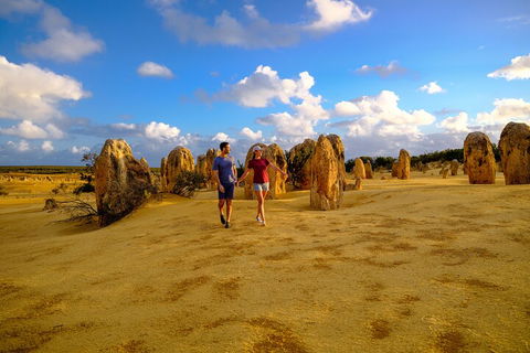 Half Day Pinnacles Sunset Tour - Accommodation NT 1