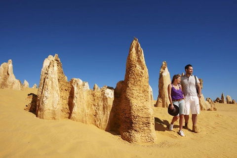 Half Day Pinnacles Sunset Tour - Accommodation NT 4