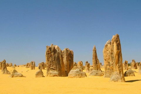 Half Day Pinnacles Sunset Tour - Accommodation NT 5