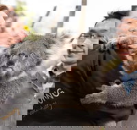 Bonorong Wildlife Park and Richmond Afternoon Tour from Hobart - Accommodation NT