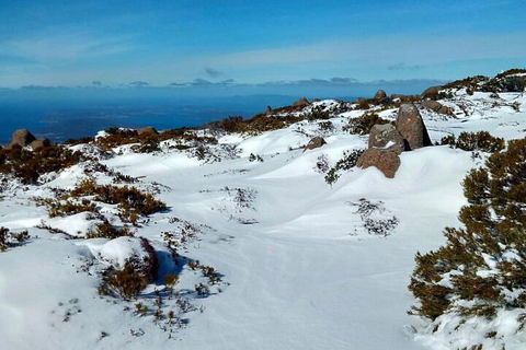 Mount Wellington Ultimate Experience Tour From Hobart - Accommodation NT 1