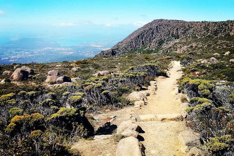Mount Wellington Ultimate Experience Tour From Hobart - Accommodation NT 5