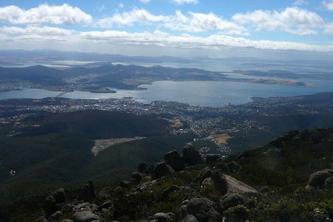 Mt Wellington Tour And MONA Admission - Accommodation NT 2