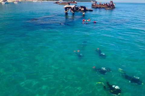 Adventure Moreton Island Scuba Dive Tour - Accommodation NT 0