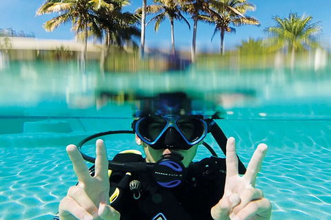 Adventure Moreton Island Scuba Dive Tour - Accommodation NT 2