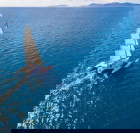 2-Night Whitsunday Islands Sailing Adventure on Trimaran Avatar - Accommodation NT