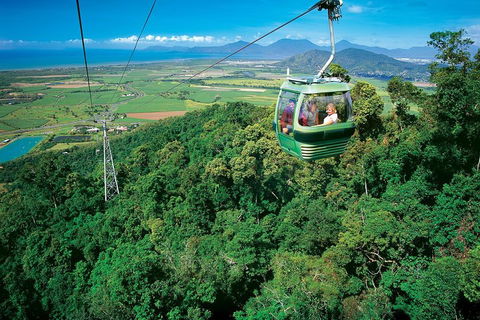 Cairns ATV Adventure Tour And Morning Skyrail - Accommodation NT 2