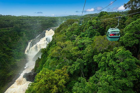 Cairns ATV Adventure Tour And Morning Skyrail - Accommodation NT 3