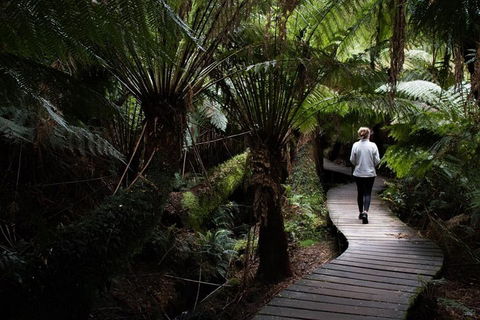Private Tour Of Melbourne - Accommodation NT 2