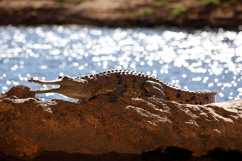 Windjana Explorer - Accommodation NT 5