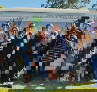 Full Day Mount Tamborine Winery Tour from Gold Coast - Accommodation NT