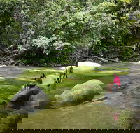 Daintree Dreaming Traditional Aboriginal Fishing from Cairns or Port Douglas - Accommodation NT