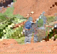 Afternoon Kata Tjuta Small Group Tour - Accommodation NT