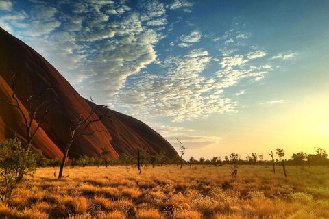 Highlights Of Uluru Including Sunrise And Breakfast - Accommodation NT 0