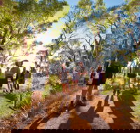 Uluru Small Group Tour including Sunset - Accommodation NT
