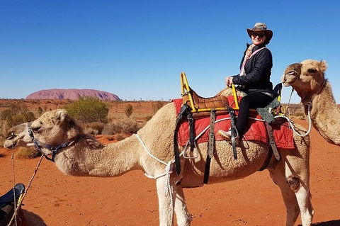 Uluru Small-Group Tour By Camel At Sunrise Or Sunset - Accommodation NT 0