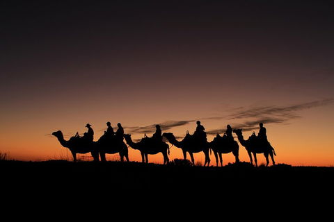 Uluru Small-Group Tour By Camel At Sunrise Or Sunset - Accommodation NT 4