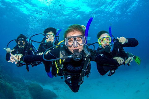 Great Barrier Reef Diving And Snorkeling Cruise From Cairns - Accommodation NT 0