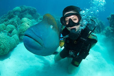 Great Barrier Reef Diving And Snorkeling Cruise From Cairns - Accommodation NT 2