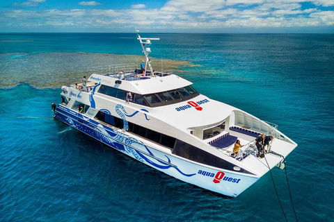 Great Barrier Reef Diving And Snorkeling Cruise From Cairns - Accommodation NT 5