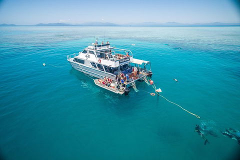 Ocean Freedom Great Barrier Reef Personal Luxury Snorkel & Dive Cruise, Cairns - Accommodation NT 0
