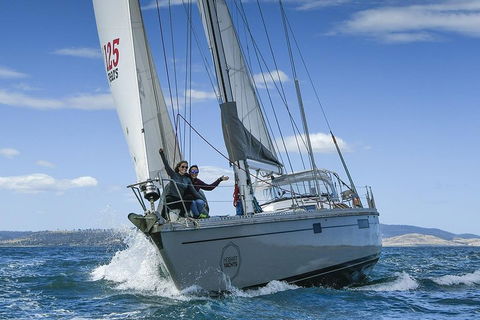 Half-Day Sailing On The Derwent River From Hobart - Accommodation NT 5
