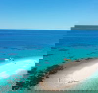 Ocean Safari Great Barrier Reef Experience in Cape Tribulation - Accommodation NT