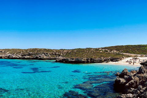 Rottnest Island Roundtrip Fast Ferry From Hillarys Boat Harbour - Accommodation NT 4