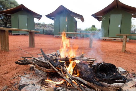 4 Day/3 Night Perentie Dreaming Safari - Accommodation NT 1