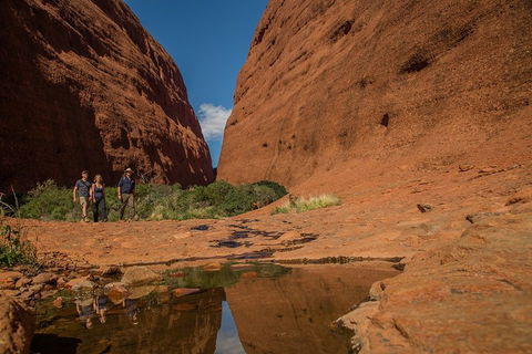4 Day/3 Night Perentie Dreaming Safari - Accommodation NT 3