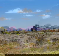 Overnight Uluru Ayers Rock Small-Group Camping Tour - Accommodation NT